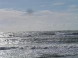 img001.jpeg.small.jpeg