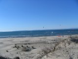 img000.jpeg.small.jpeg
